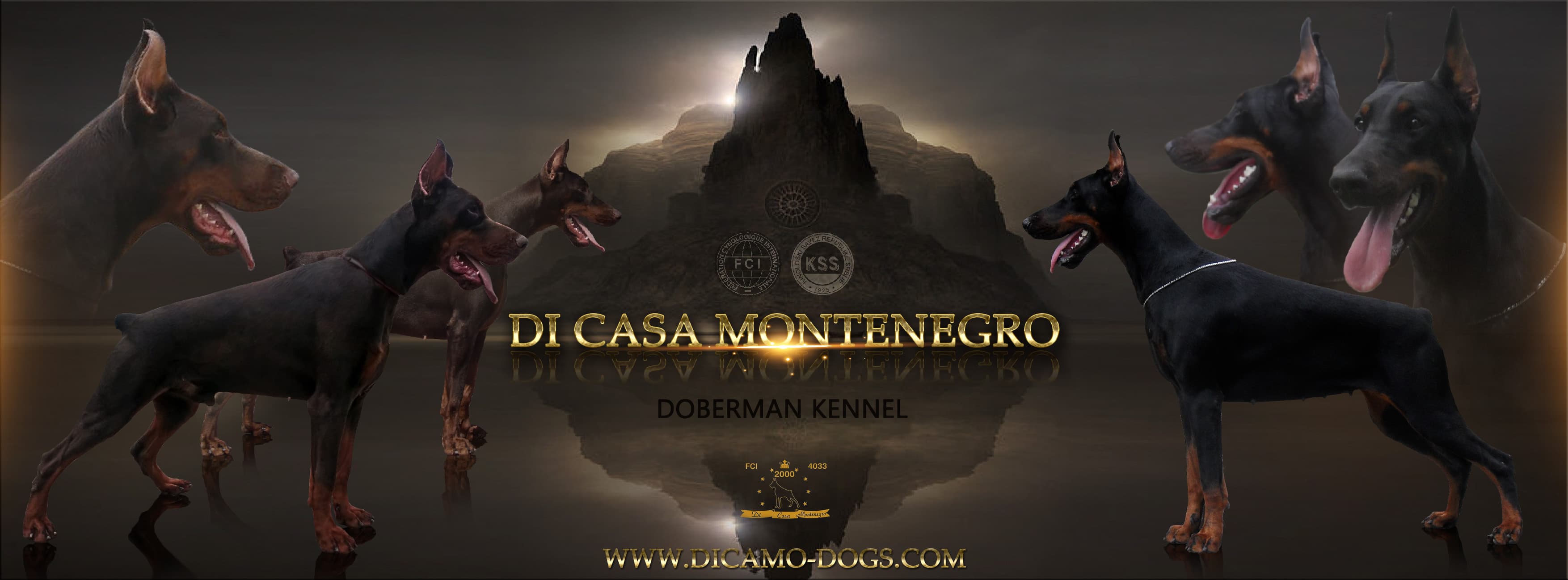 Di Casa Montenegro Doberman
