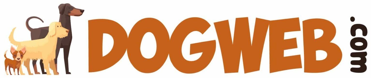 Dogweb