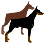 Doberbase