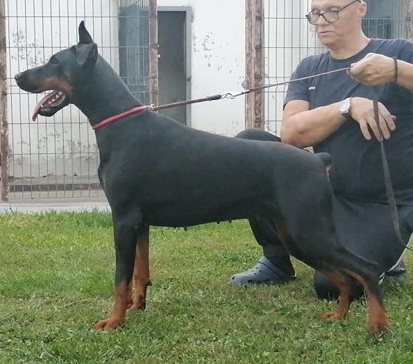 Freya Di Casa Montenegro