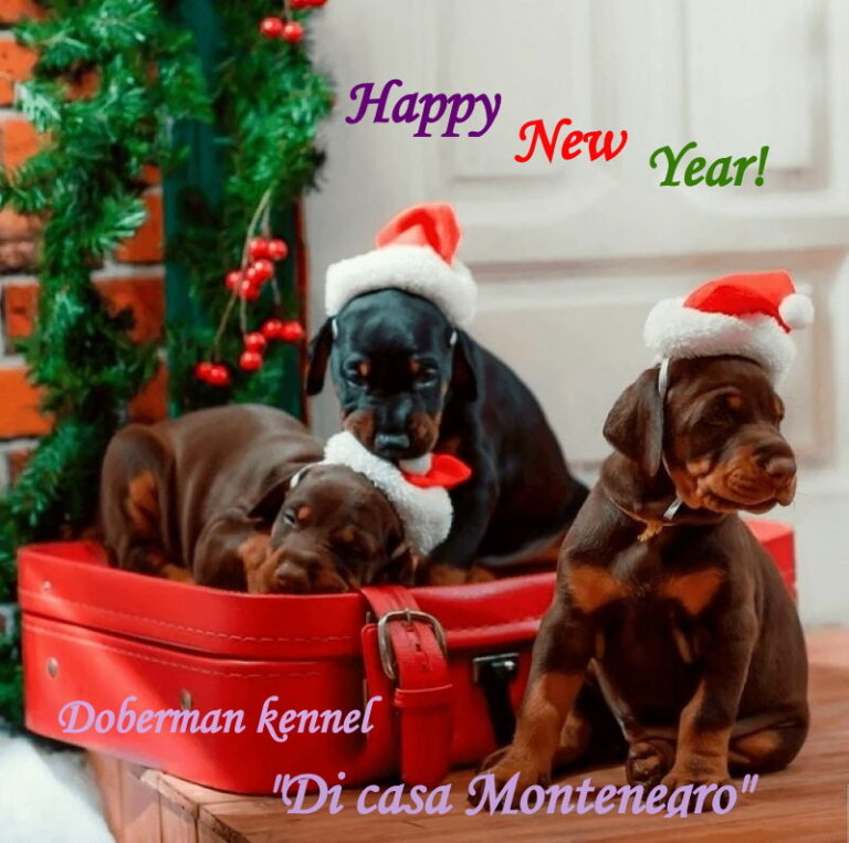 New Year wishes